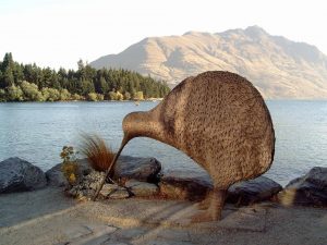 new zealand giant kiwi