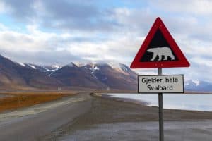 Eisbär Schild Spitzbergen Svalbard